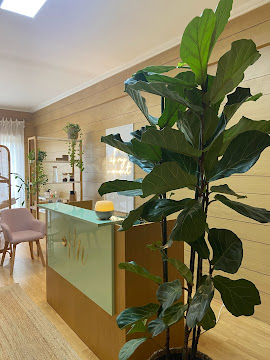 Receção do espaço Helena Novais, com balcão verde, madeira e plantas